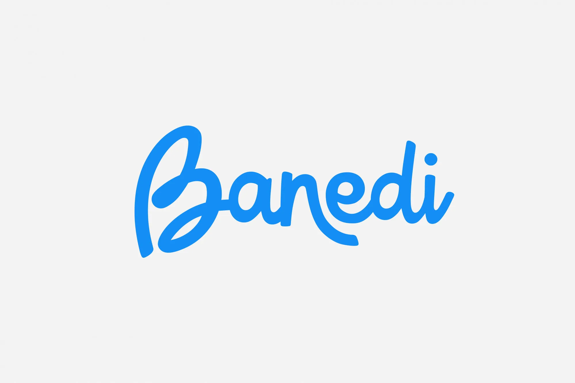 logo-banedi-3-copia logo-banedi-3-copia